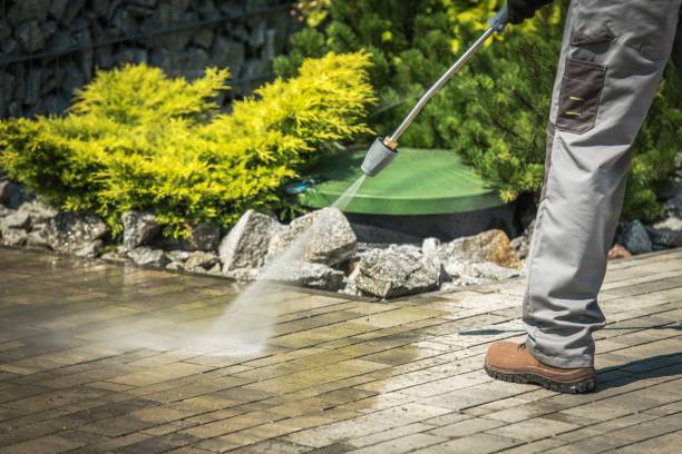 Best Pre-Holiday Cleaning  in Metlatla, AK
