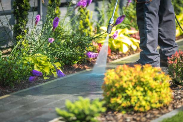 Best Post-Construction Pressure Washing  in Metlatla, AK