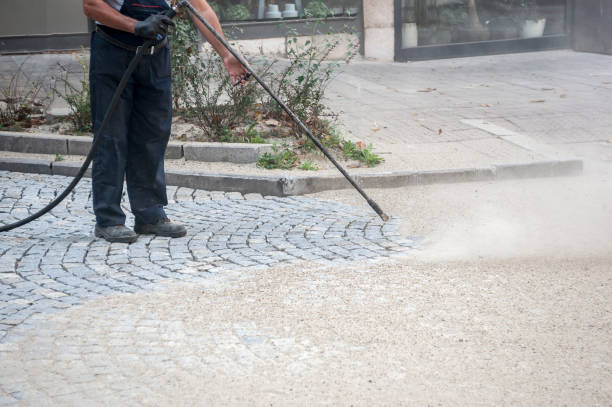 Best Sidewalk and Walkway Cleaning  in Metlatla, AK